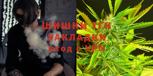 прущий лед Алексин